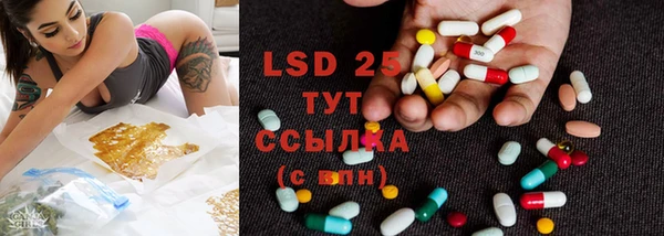 стаф Нягань