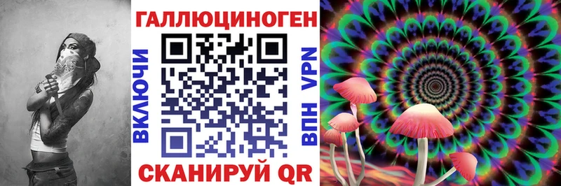 Псилоцибиновые грибы Psilocybine cubensis  Нижний Новгород 