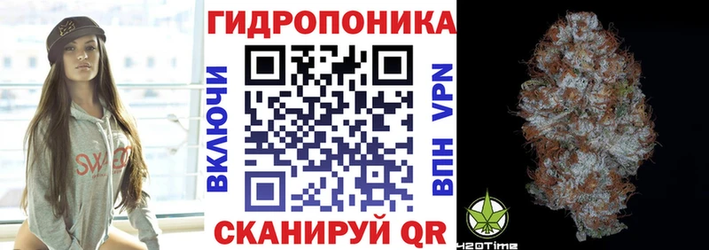 Бошки Шишки ГИДРОПОН  Нижний Новгород 